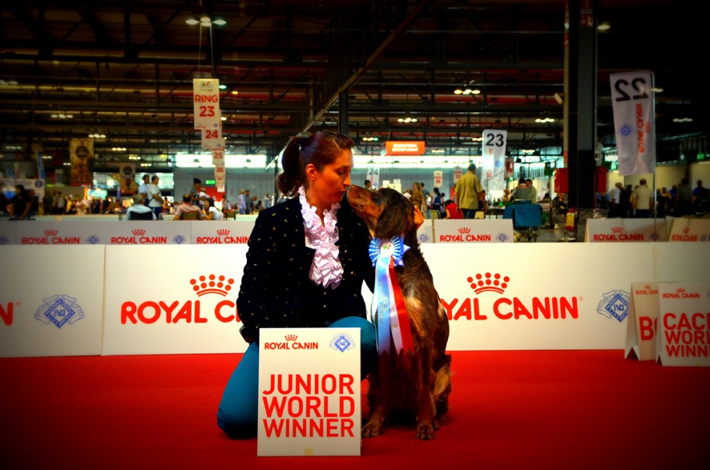 Artemis-world-dog-show-milano-2015