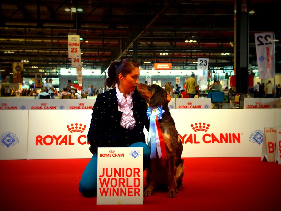 Artemis-world-dog-show-milano-2015