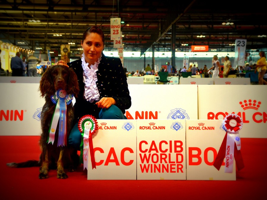 Giuly-world-dog-show-milano-2015