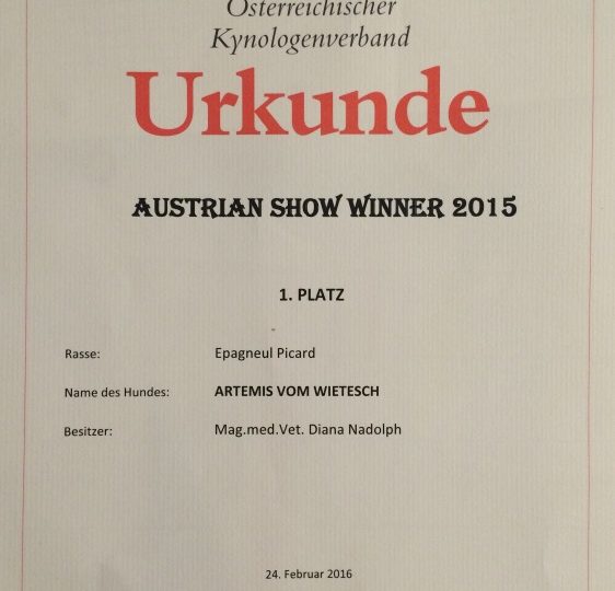 Artemis vom Wietesch wird Austrian Show Winner 2015!