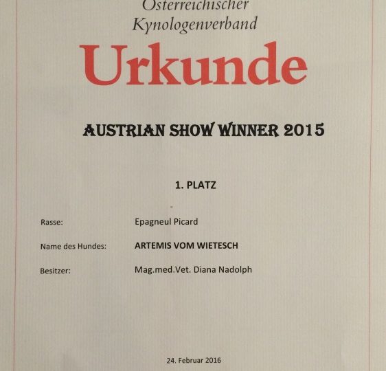 Artemis vom Wietesch wird Austrian Show Winner 2015!