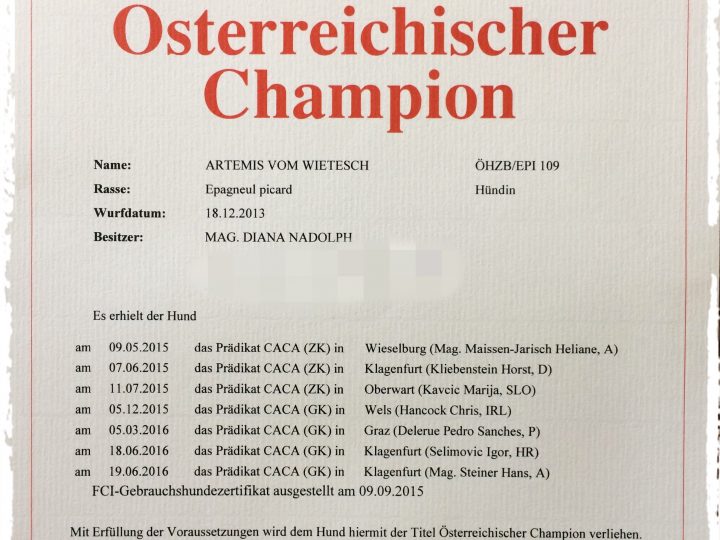 Artemis ist nun offiziell österreichischer Champion!